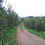 Lejlighed Nurazzolas