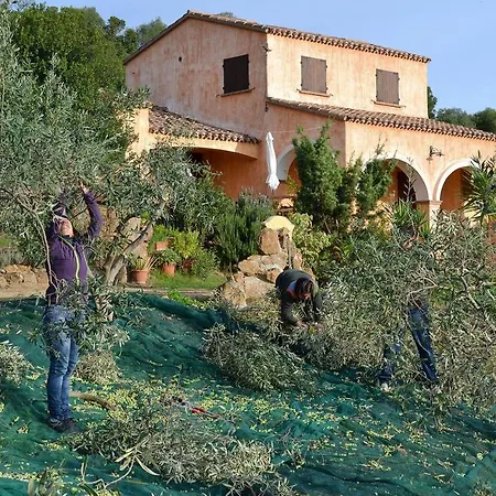Nurazzolas Appartamento *