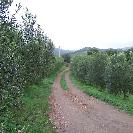 Appartamento Nurazzolas