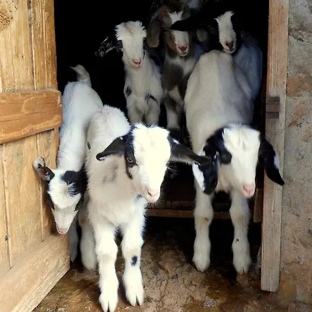 Nurazzolas Villaputzu