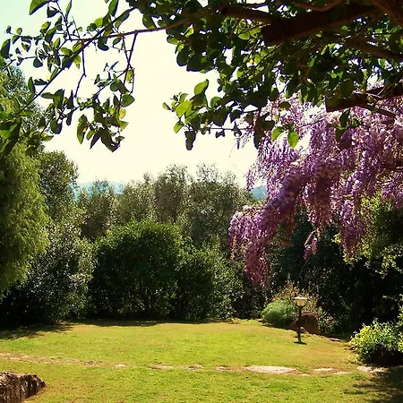 Apartament Nurazzolas