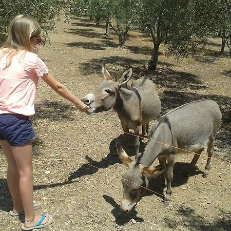 Nurazzolas Апартаменты *