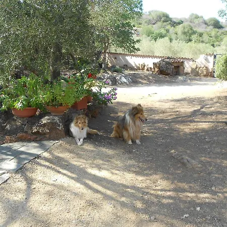 Апартаменты Nurazzolas Виллапутцу