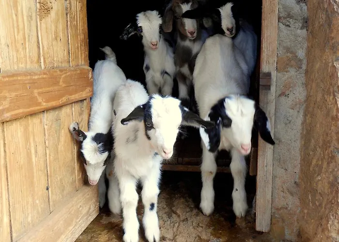 Nurazzolas Villaputzu