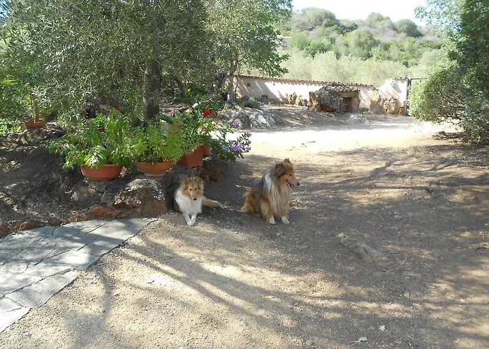 Daire Nurazzolas Villaputzu